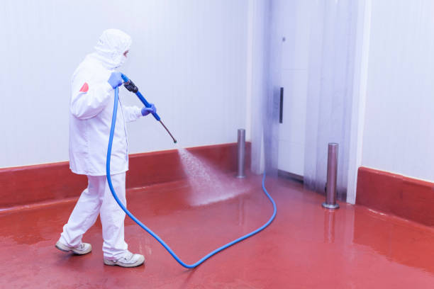 Rogersville, AL Pressure Washing Services Company